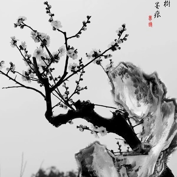 mozihe的博客
